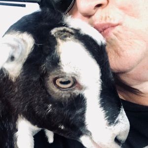 Meet your Posher, Nancy